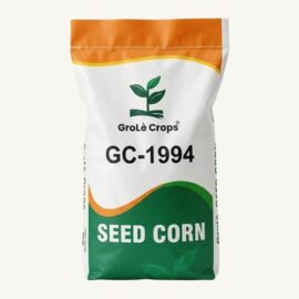 GroLè Crops GC-1994 Hybrid Seed Corn