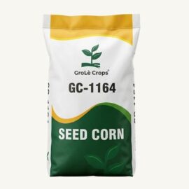 GroLè Crops GC-1164 Hybrid Seed Corn