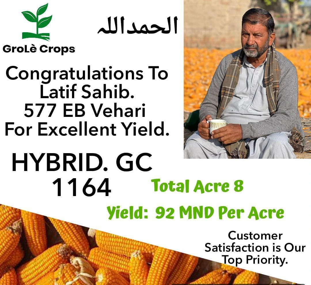 WhatsApp Image 2026-03-19 at 20.58.22 (1)