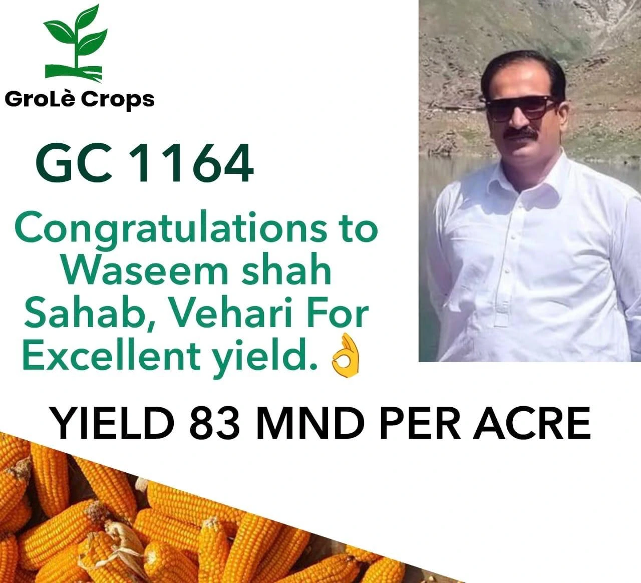 WhatsApp Image 2026-03-19 at 20.58.22 (2)