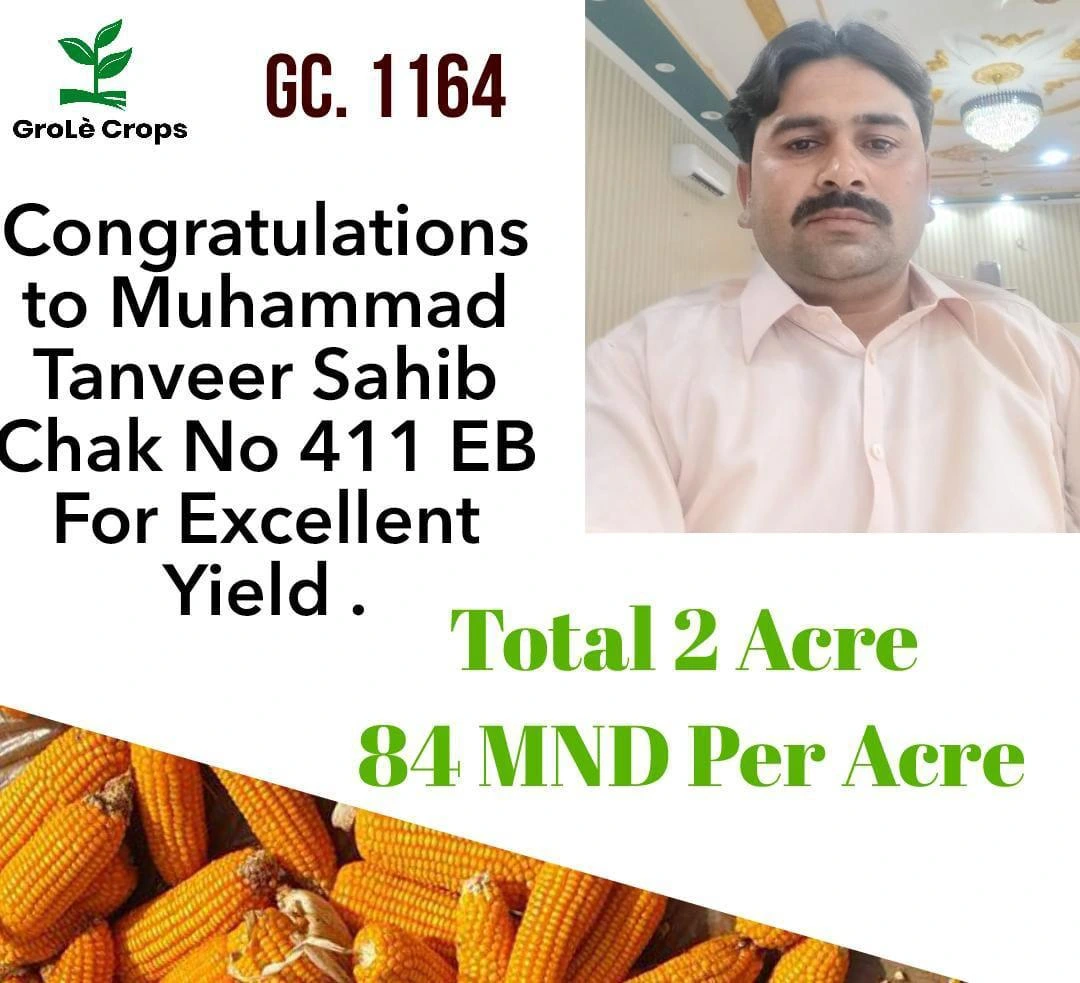 WhatsApp Image 2026-03-19 at 20.58.22 (3)