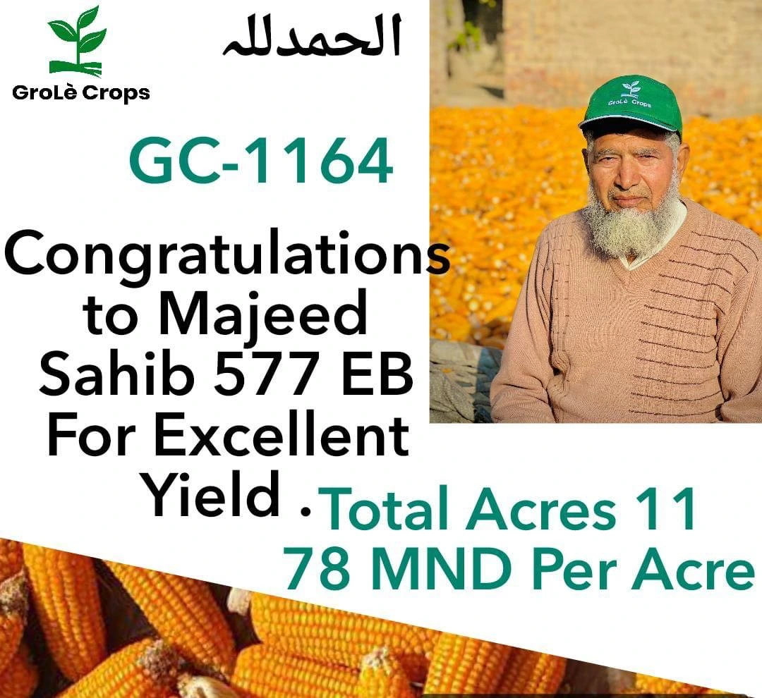 WhatsApp Image 2026-03-19 at 20.58.23