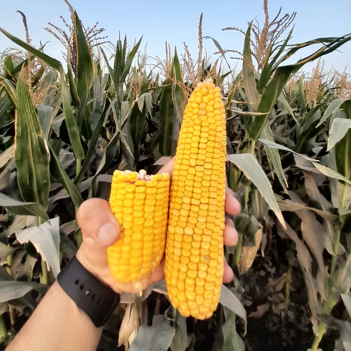 WhatsApp Image 2026-03-19 at 21.09.43 (32)_11zon