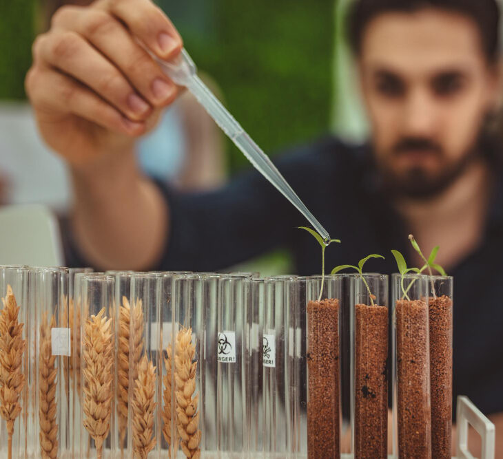 Seed Testing