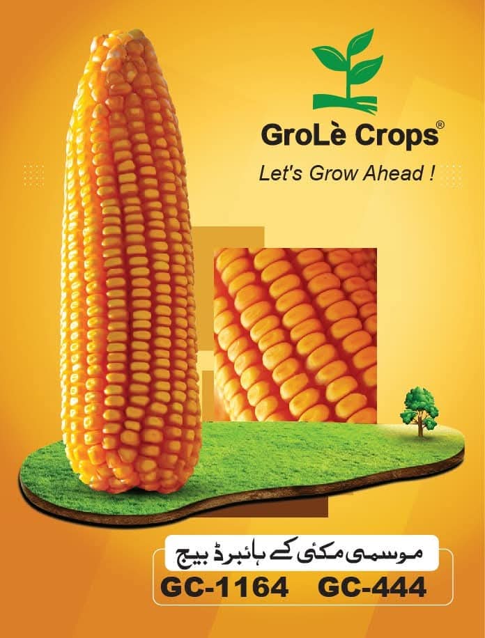 WhatsApp Image 2026-04-15 at 18.51.06